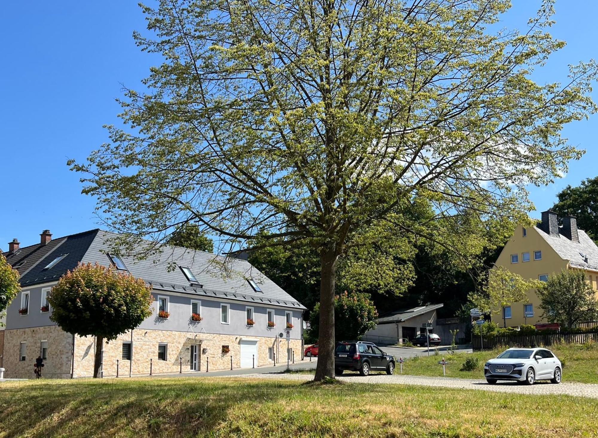 Ferienwohnungen Yanev Oberkotzau Exterior foto